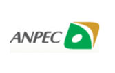 ANPEC Electronics